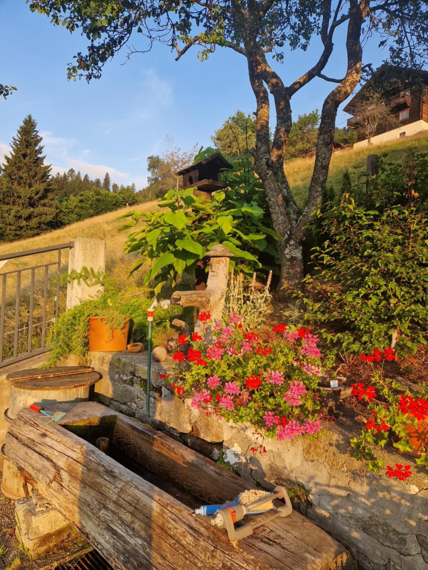 Haus Rupitsch Hotel Winklern  Bagian luar foto